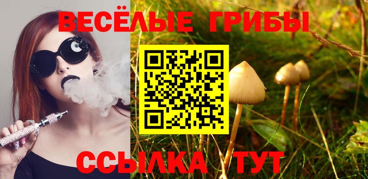 Псилоцибиновые грибы Psilocybe Богданович