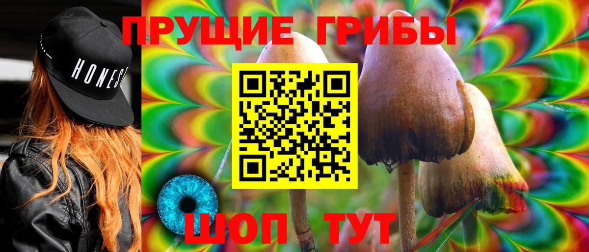 Псилоцибиновые грибы GOLDEN TEACHER  Галлюциногенные грибы Magic Shrooms  Вход с VPN  Богданович 